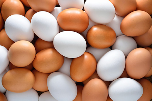 Dozens of eggs